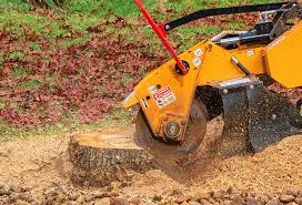 Best Stump Grinding and Removal  in West Bend, WI